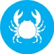 2. Rákfélék